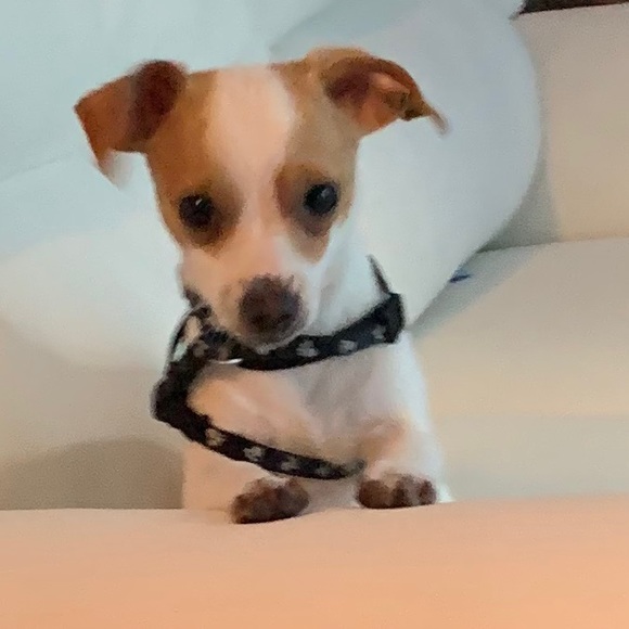 amyisntcute